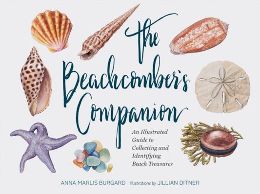 Book cover of: Beachcomber's Companion. By: Anna Marlis Burgard
