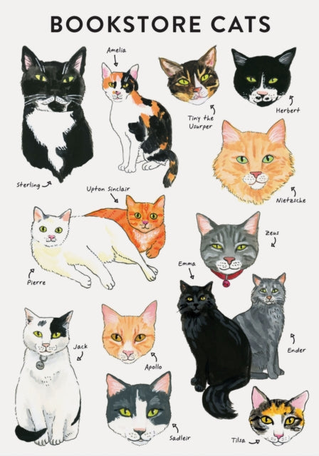 Book cover of: Bibliophile Flexi Journal: Bookstore Cats. By: Jane Mount