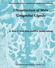 Book cover of: Ultrastructure of the Male Urogenital Glands. By: Allessandro Riva
