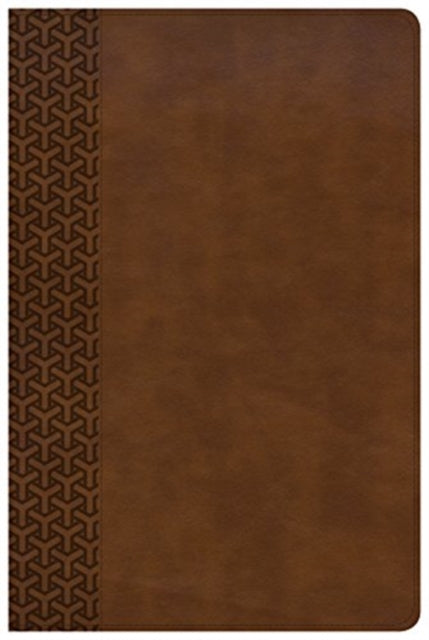Book cover of: KJV Everyday Study Bible, British Tan LeatherTouch