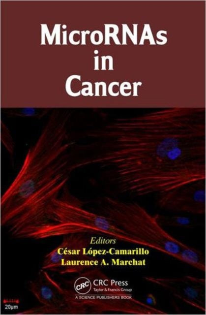 Book cover of: MicroRNAs in Cancer. By: César López-Camarillo