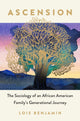 Book cover of: Ascension. By: Lois Benjamin