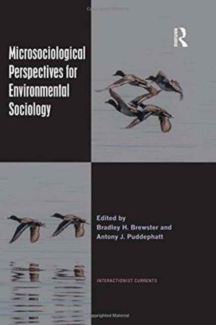 Book cover of: Microsociological Perspectives for Environmental Sociology. By: Bradley H. Brewster
