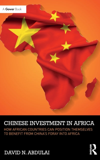 Book cover of: Chinese Investment in Africa. By: David N. Abdulai
