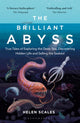 Book cover of: Brilliant Abyss. By: Helen Scales