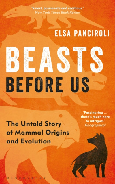 Book cover of: Beasts Before Us. By: Elsa Panciroli