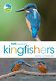 Book cover of: RSPB Spotlight Kingfishers. By: Chandler, David