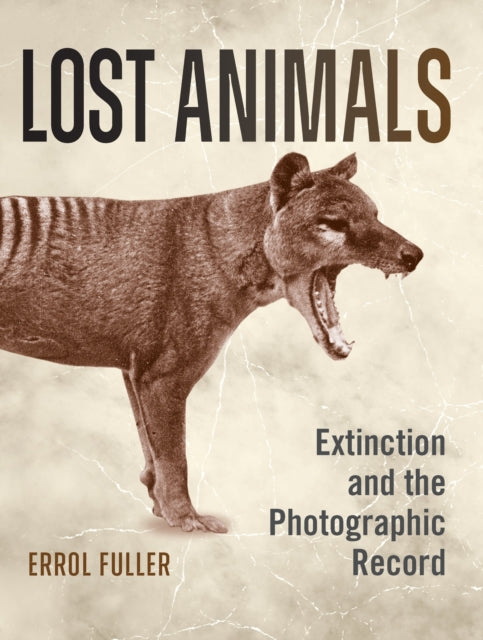 Book cover of: Lost Animals. By: Errol Fuller