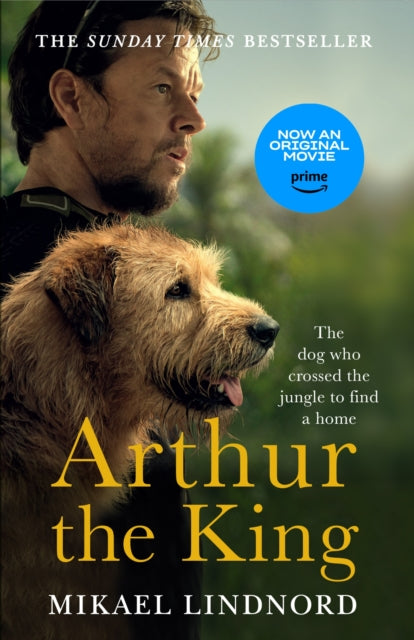 Book cover of: Arthur the King. By: Val Corbett (author) Mikael Lindnord (author)