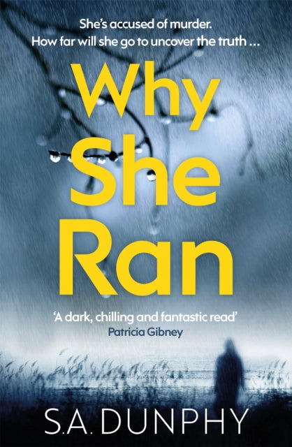 Book cover of: Why She Ran. By: S. A. Dunphy