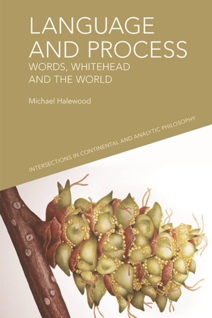 Book cover of: Language and Process. By: Michael Halewood