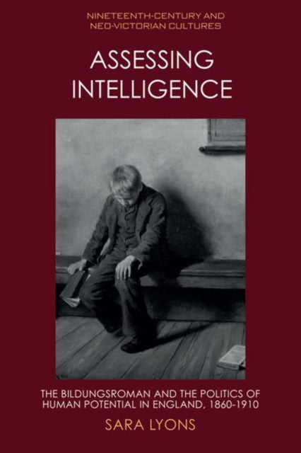 Book cover of: Assessing Intelligence. By: Sara Lyons