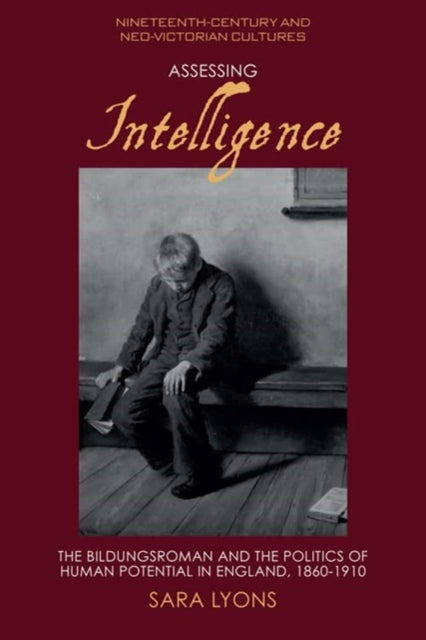 Book cover of: Assessing Intelligence. By: Sara Lyons