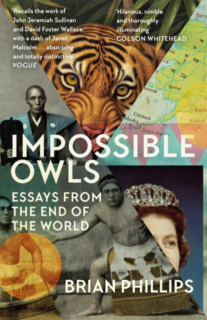 Book cover of: Impossible Owls. By: Brian Phillips