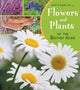 Book cover of: Flowers and Plants of the British Isles