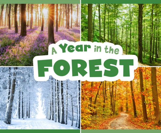 Book cover of: Year in the Forest. By: Christina Mia Gardeski