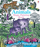 Animals Magic Painting Book 9781474960465 Author TBC
