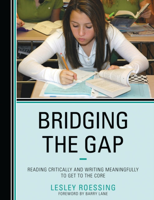 Book cover of: Bridging the Gap. By: Lesley Roessing