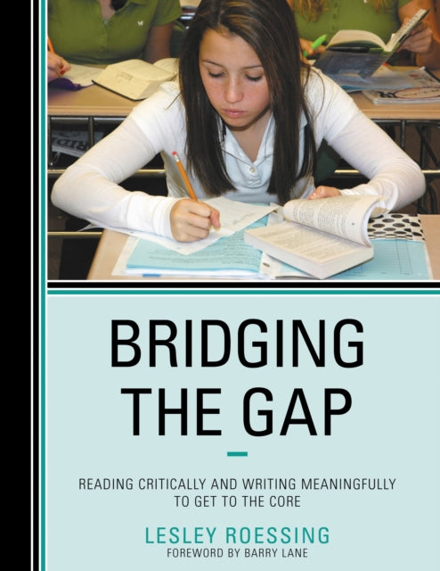 Book cover of: Bridging the Gap. By: Lesley Roessing