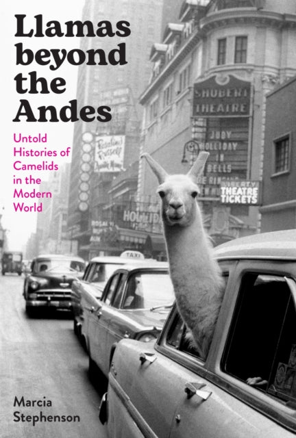 Book cover of: Llamas Beyond the Andes. By: Marcia Stephenson