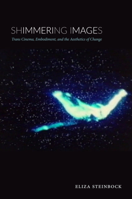 Book cover of: Shimmering Images. By: Eliza Steinbock