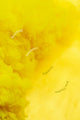 Book cover of: Breathing Aesthetics. By: Jean-Thomas Tremblay