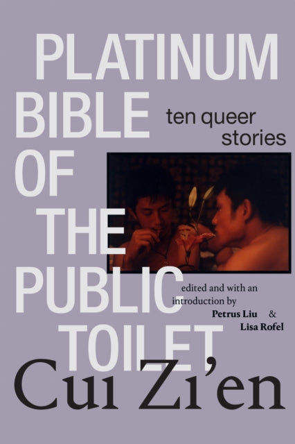 Book cover of: Platinum Bible of the Public Toilet. By: Zi'en Cui