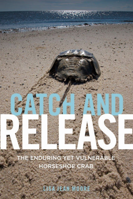 Book cover of: Catch and Release. By: Lisa Jean Moore