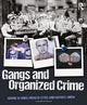 Book cover of: Gangs and Organized Crime. By: George W. Knox