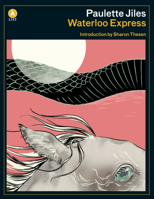 Book cover of: Waterloo Express. By: Paulette Jiles