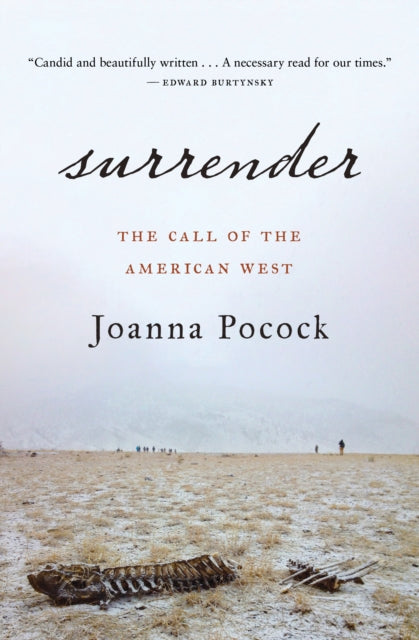 Book cover of: Surrender. By: Joanna Pocock