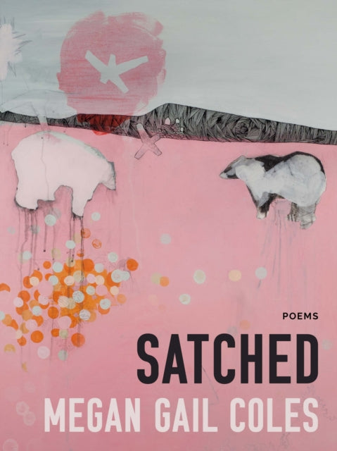 Book cover of: Satched. By: Megan Gail Coles