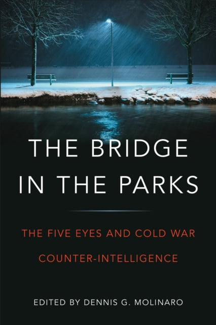 Book cover of: Bridge in the Parks. By: Dennis G. Molinaro