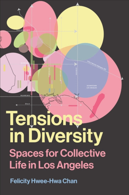 Book cover of: Tensions in Diversity. By: Felicity Hwee-Hwa Chan