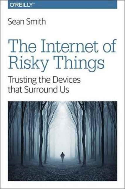 Book cover of: Internet of Risky Things. By: Sean Smith