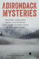 Book cover of: Adirondack Mysteries. By: WEBSTER