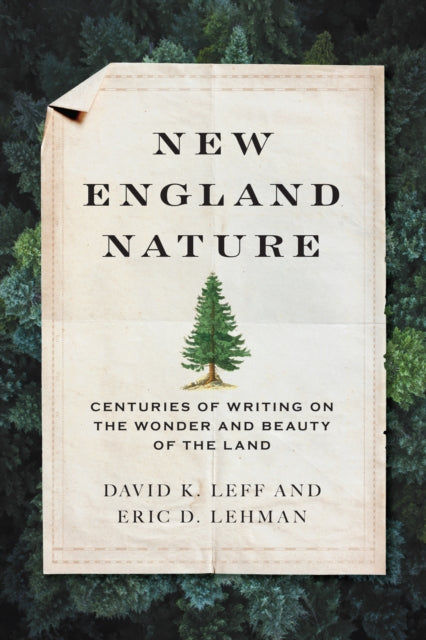 Book cover of: New England Nature. By: Eric D. Lehman