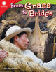 Book cover of: From Grass to Bridge. By: Ben Nussbaum