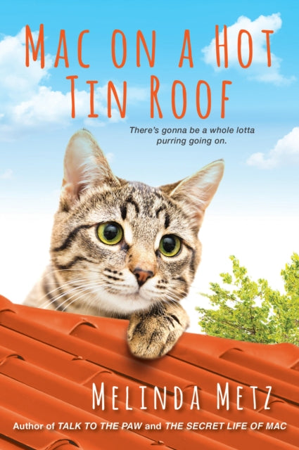 Book cover of: Mac on a Hot Tin Roof. By: Melinda Metz