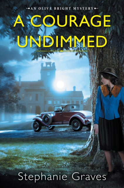 Book cover of: Courage Undimmed. By: Stephanie Graves