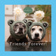 Book cover of: Sookie and Ivy Friends Forever!. By: Jani Oja