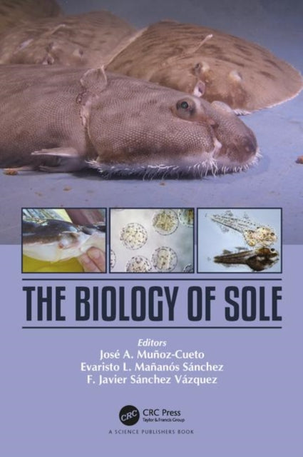 Book cover of: Biology of Sole. By: Jose A. Munoz-Cueto
