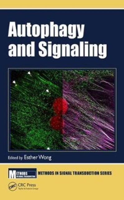 Book cover of: Autophagy and Signaling. By: Esther Wong