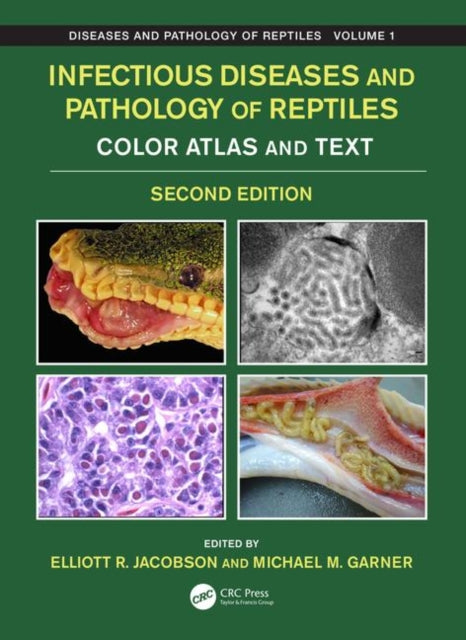 Book cover of: Infectious Diseases and Pathology of Reptiles. By: Elliott R. Jacobson