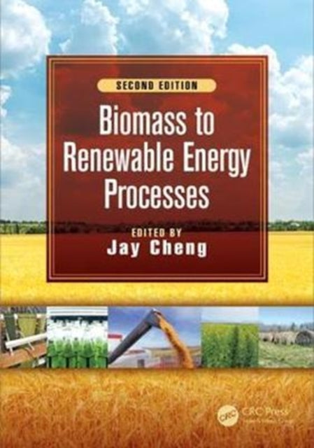 Book cover of: Biomass to Renewable Energy Processes. By: Jay Cheng