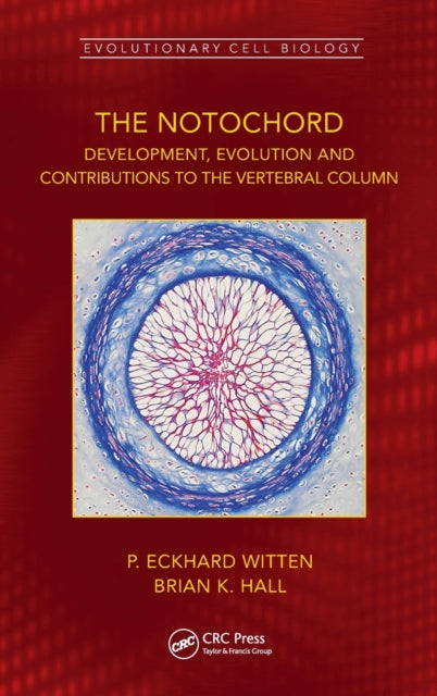 Book cover of: Notochord. By: P. E. Witten