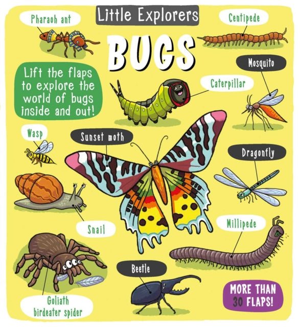 Book cover of: Little Explorers: Bugs. By: Little Bee Books
