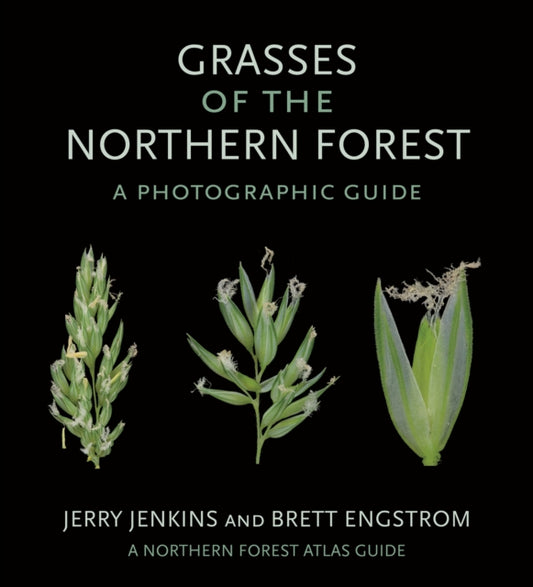 Book cover of: Grasses of the Northern Forest. By: Jerry Jenkins