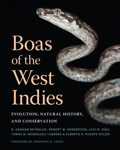 Book cover of: Boas of the West Indies. By: R. Graham Reynolds