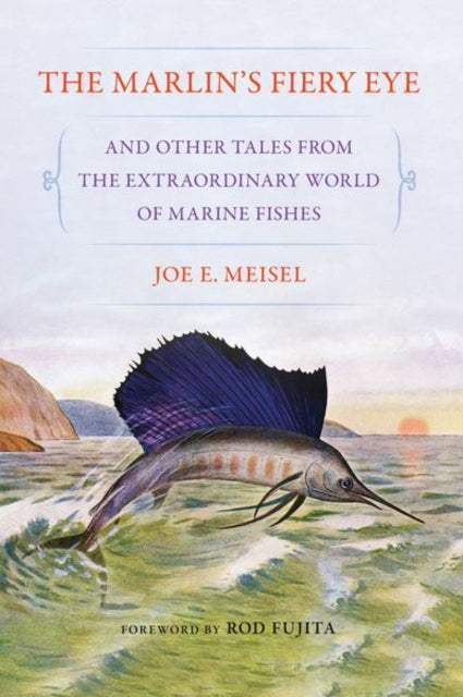 Book cover of: Marlin's Fiery Eye and Other Tales from the Extraordinary World of Marine Fishes. By: Joe E. Meisel